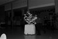 photo No. 38